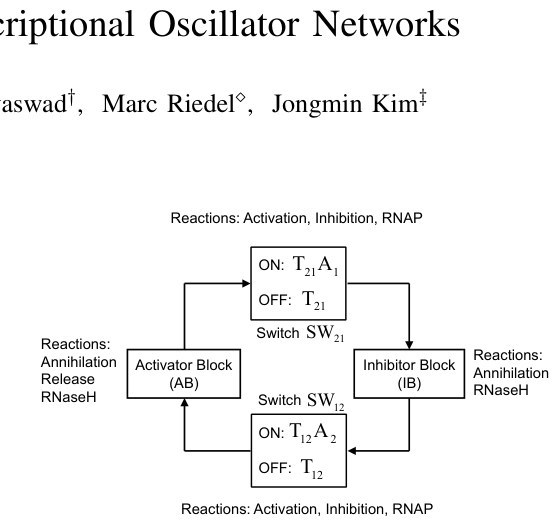 File:Riedel-research-robust-tunable-in-vitro-transcriptional-oscillator-networks-6aee4725.jpg