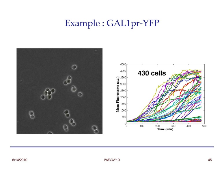 File:Peccoud Design of Synthetic Genetic Systems.pdf