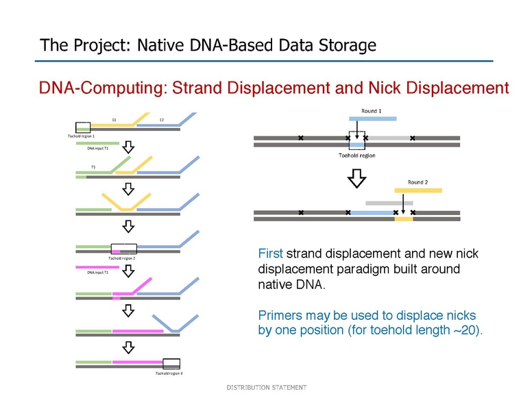 File:Riedel Storage and Processing with Native DNA.pdf