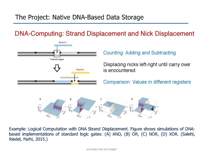File:Riedel Storage and Processing with Native DNA.pdf