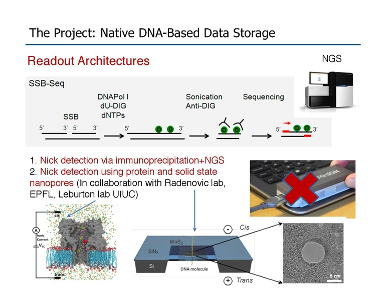 File:Riedel Storage and Processing with Native DNA.pdf