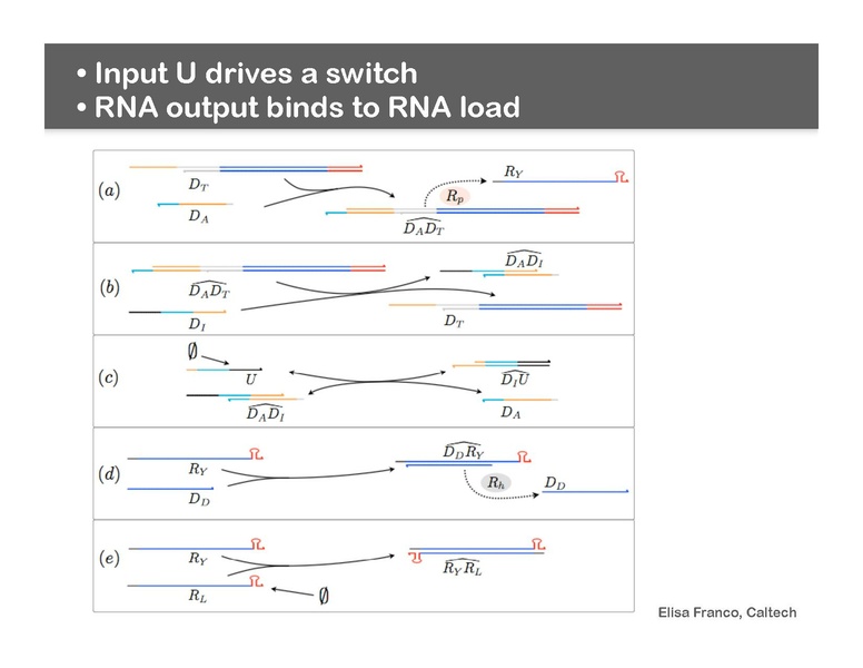 File:Iwbda-2010-franco.pdf