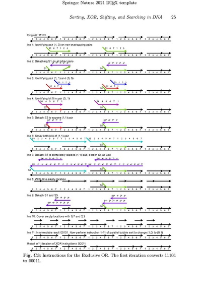 File:Solanki-chen-riedel-parallel-pairwise-operations-on-data-stored-in-dna-sorting-xor-shifting-and-searching.pdf
